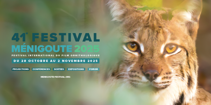 41e festival Ménigoute : du 28 octobre au 2 novembre 2025