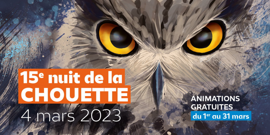 affiche 15e édition de la nuit de la chouette - illustration d'un hibou centrée sur son regard et ses yeux jaunes