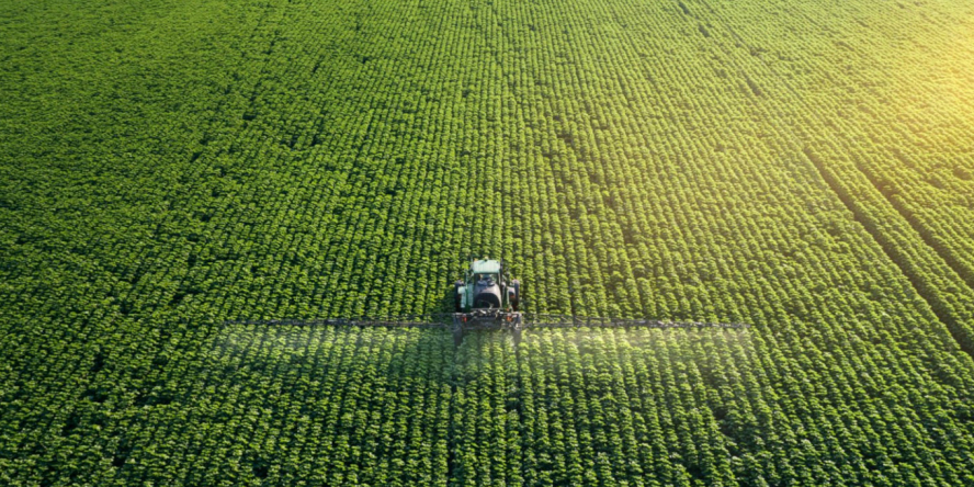 Crédit photo : Daniel Banakov - istockphoto