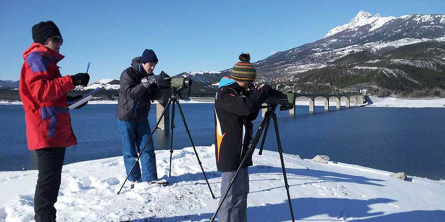 Comptage wetlands international avec le groupe local de bénévoles Ecrins-Embrunais - Damien Combrisson