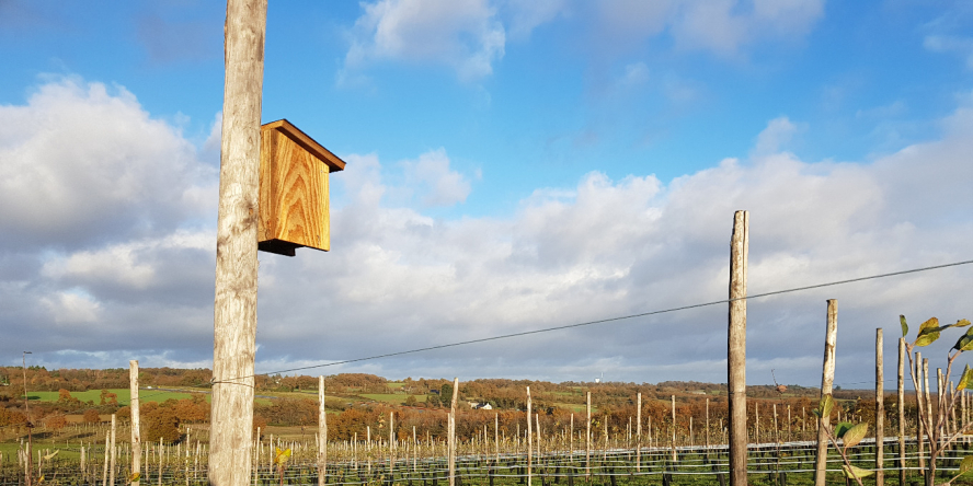 Nichoir à mésanges sur les Vergers de la Grande Sadouve à Guichen