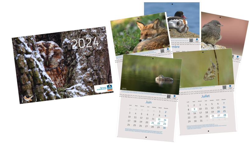 Pages du calendrier de la LPO Île-de-France