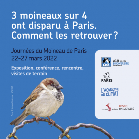 visuel exposition Journées du Moineau de Paris