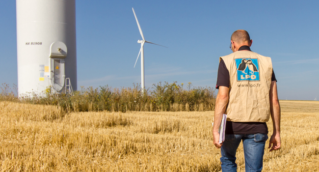 homme de dos, portant un gilet au logo de la LPO, se dirigeant vers des éoliennes