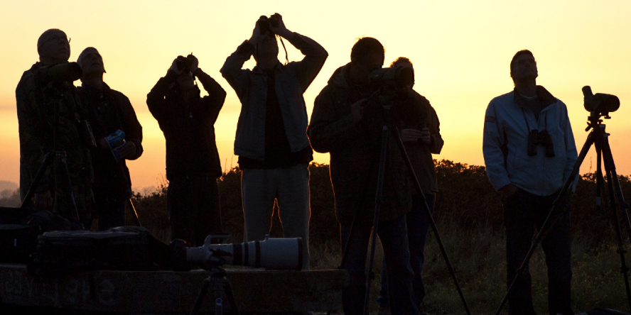 Groupe de 7 personnes en train d'observer le ciel