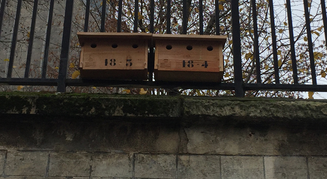 Nichoirs fixés sur des grilles