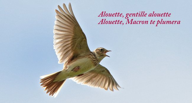 Alouette_Macron.jpg