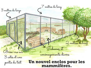 Illustration du futur enclos pour les mammifères