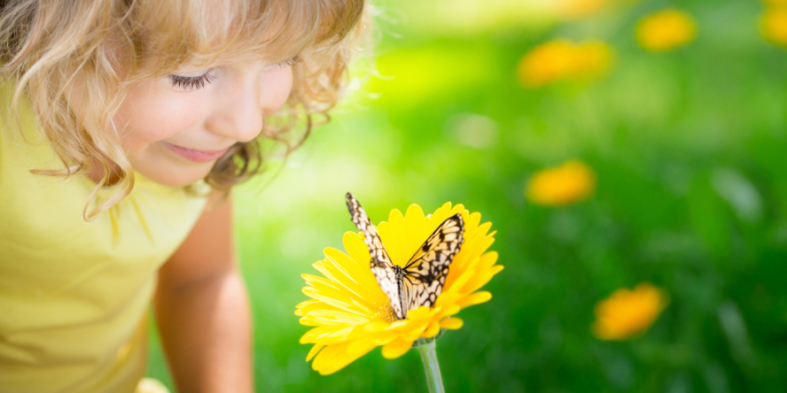 Une petite fille observe un papillon posé sur une fleur
