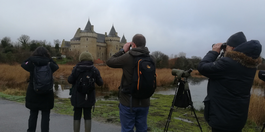 Groupe d'observateurs lors de la sortie MOOC sur la presqu’île de Rhuys dans le Morbihan