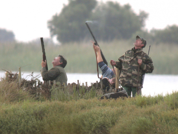 chasseurs pointant leurs armes vers le ciel