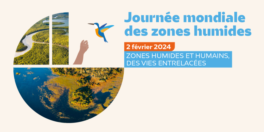 Journée mondiale des zones humides : zones humides et des vies entrelacées