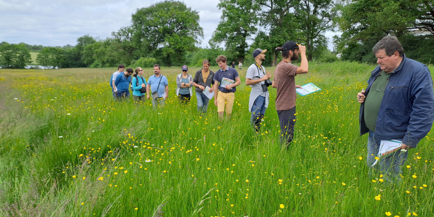 Des personnes sont dans une prairie en fleur et regardent les espèces de plantes présentes