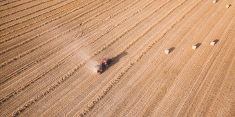 Champ agriculture intensive