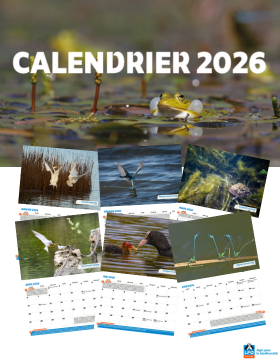 la-pr-commande-du-calendrier-2026-est-ouverte-lpo-ligue-pour-la