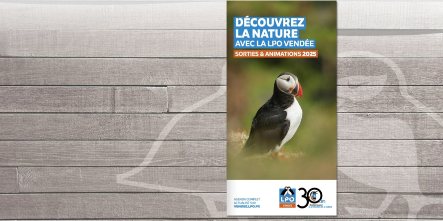 Programme des sorties 2025 de la LPO Vendée