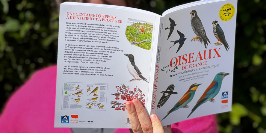 Oiseaux de France : beaux, vulnérables ou emblématiques