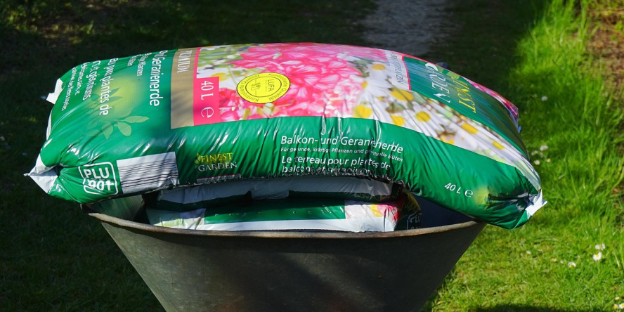 Crédit photo : Pixabay