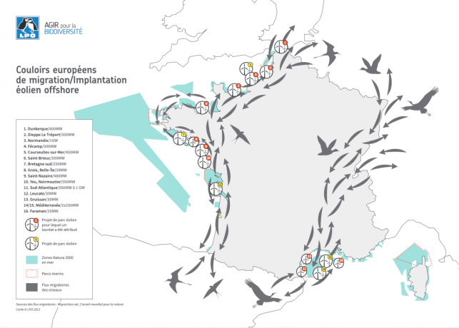 Carte des Couloirs européens de migration/Implantation éolien offshore