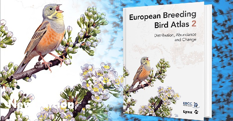 visuel de l'Atlas européen des oiseaux nicheur