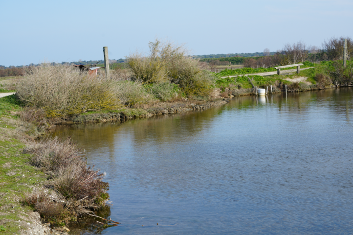 Réserve Naturelle Nationale de Lilleau des Niges