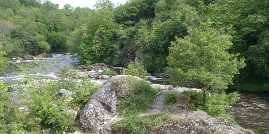 Au premier plan des rochers avec des arbustes et au second plan coule la rivière Gartempe bordée d'arbres de chaque côté.
