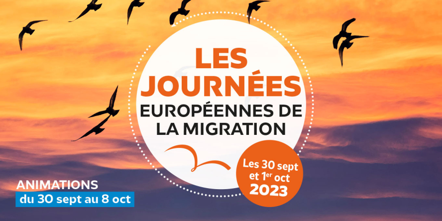 Visuel officiel de l'édition 2023 des Journées européennes de la migration : Eurobirdwatch
