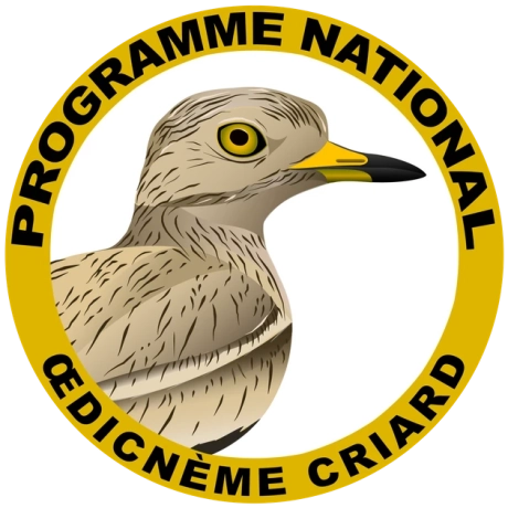 Illustration du programme National Œdicnème criard