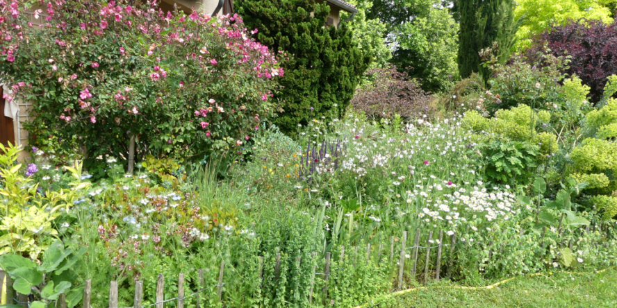 Jardin sauvage © Evelyne Haber / LPO