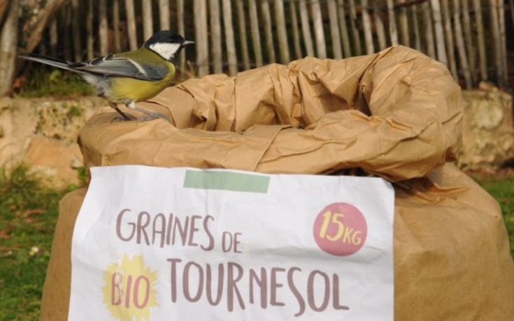 Mésange sur un sac de graines de tournesol