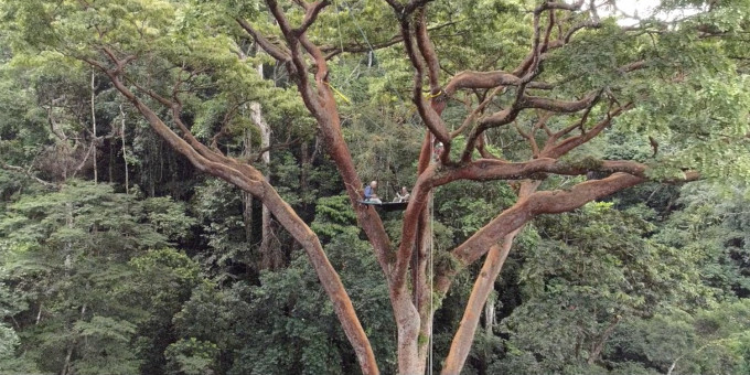 Deux hommes sur une plateforme dans un arbre