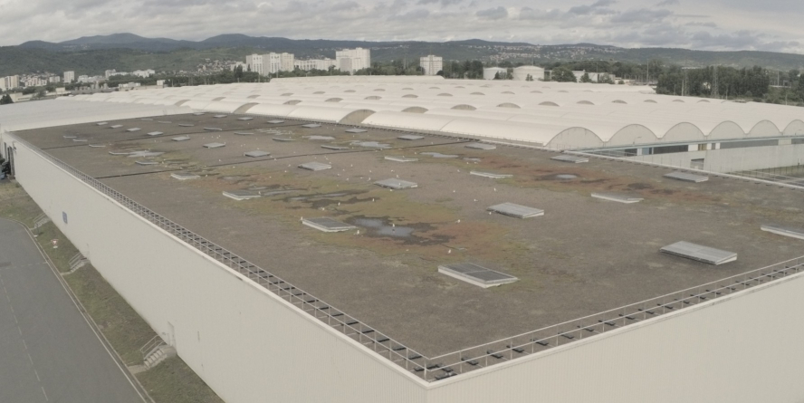 Prise de vue drone du toit de l’entrepôt Michelin de Chantemerle, colonie de Goéland leucophée
