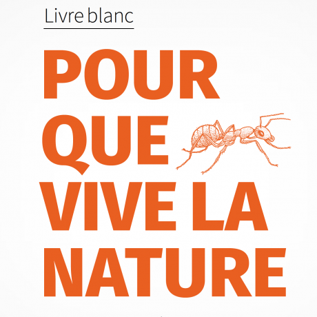 Visuel Livre blanc "Pour que vive la nature" + dessin de fourmi