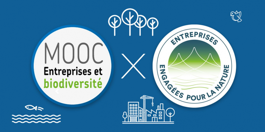 Mooc Entreprises et biodiversité x Entreprises engagées pour la nature