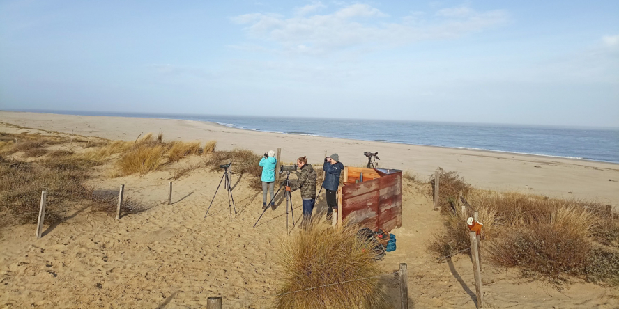 Observateurs sur la Pointe de Grave