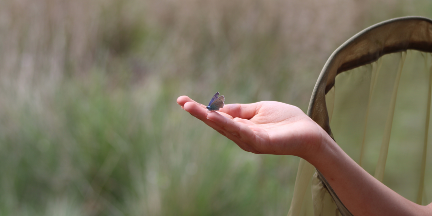 Stage jeune naturaliste © LPO PACA - Charlotte SPRINGAUX