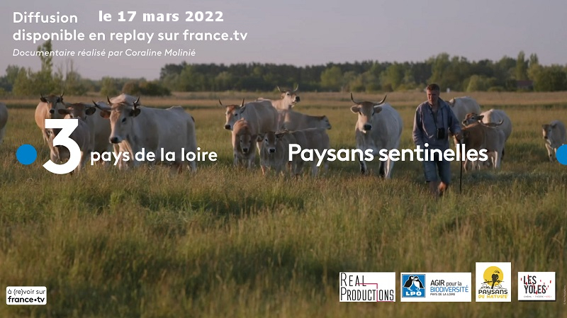 Film documentaire « Paysans sentinelles » sur France 3 Pays de la Loire