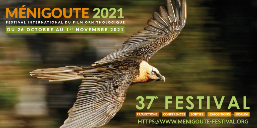 Visuel affiche Ménigoute 2021 Festival International du Film Ornithologique du 26 octobre au 1er novembre 2021 photo d'un Gypaète barbu en vol de profil