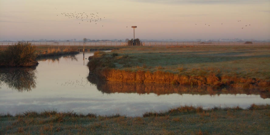 Paysage de la Réserve Naturelle Nationale « Michel Brosselin » de Saint-Denis-du-Payré