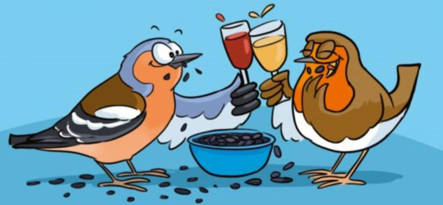 Illustration de 2 oiseaux en train de prendre l'apéro en mangeant des graines