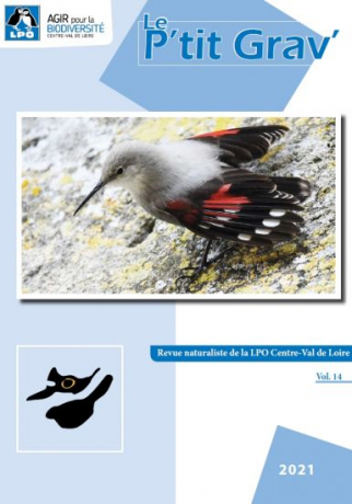 Couverture du volume 14 du P’tit Grav’