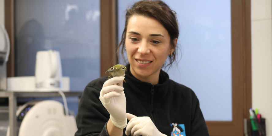 Justine, soigneuse au Centre de soins