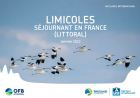 couverture Synthèse Wetlands 2022 - annexe limicoles