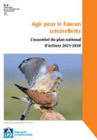 Plaquette de valorisation du PNA Faucon crécerellette (2021-2030)