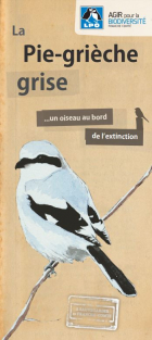 Plaquette : La Pie-grièche grise : un oiseau au bord de l'extinction