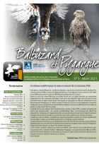 Balbuzard & Pygargue n°1