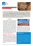 Fiche médiation "Canicule"