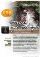 couverture du bulletin Oiseaux et lignes électriques n°41