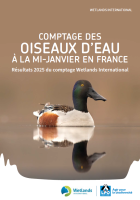 Synthèse Wetlands 2025