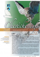 Chevêche info